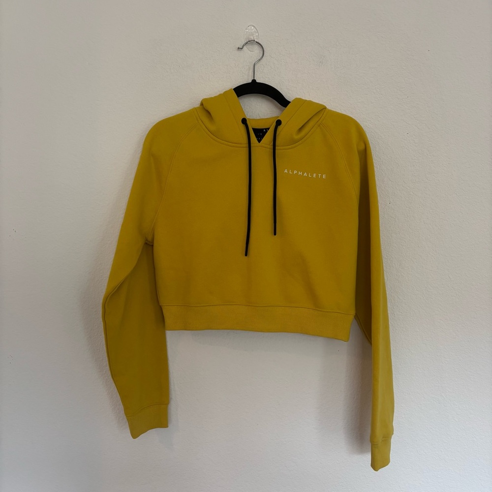 Alphalete Cropped Hoodie Sweatshirt